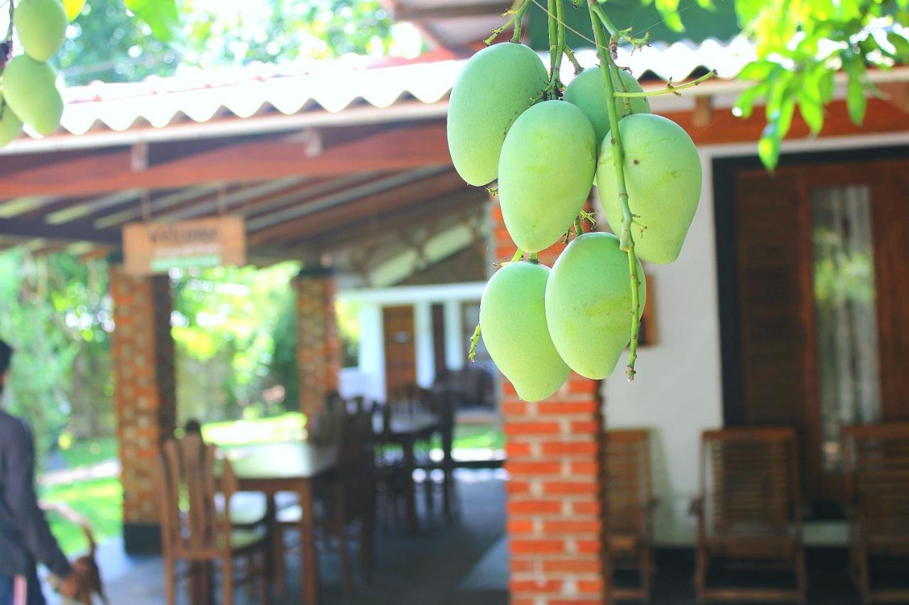 Green Cottage Anuradhapura Εξωτερικό φωτογραφία