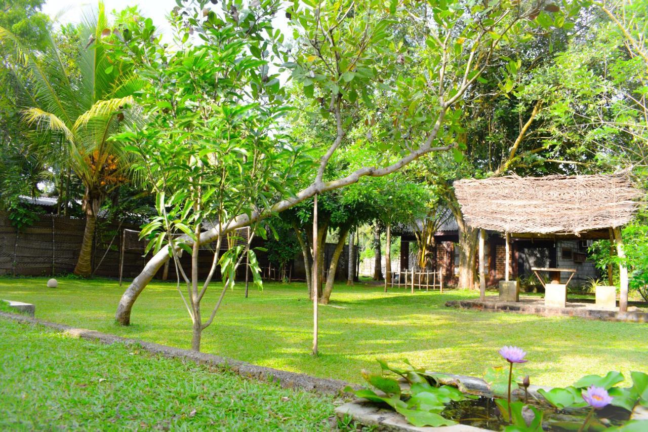 Green Cottage Anuradhapura Εξωτερικό φωτογραφία