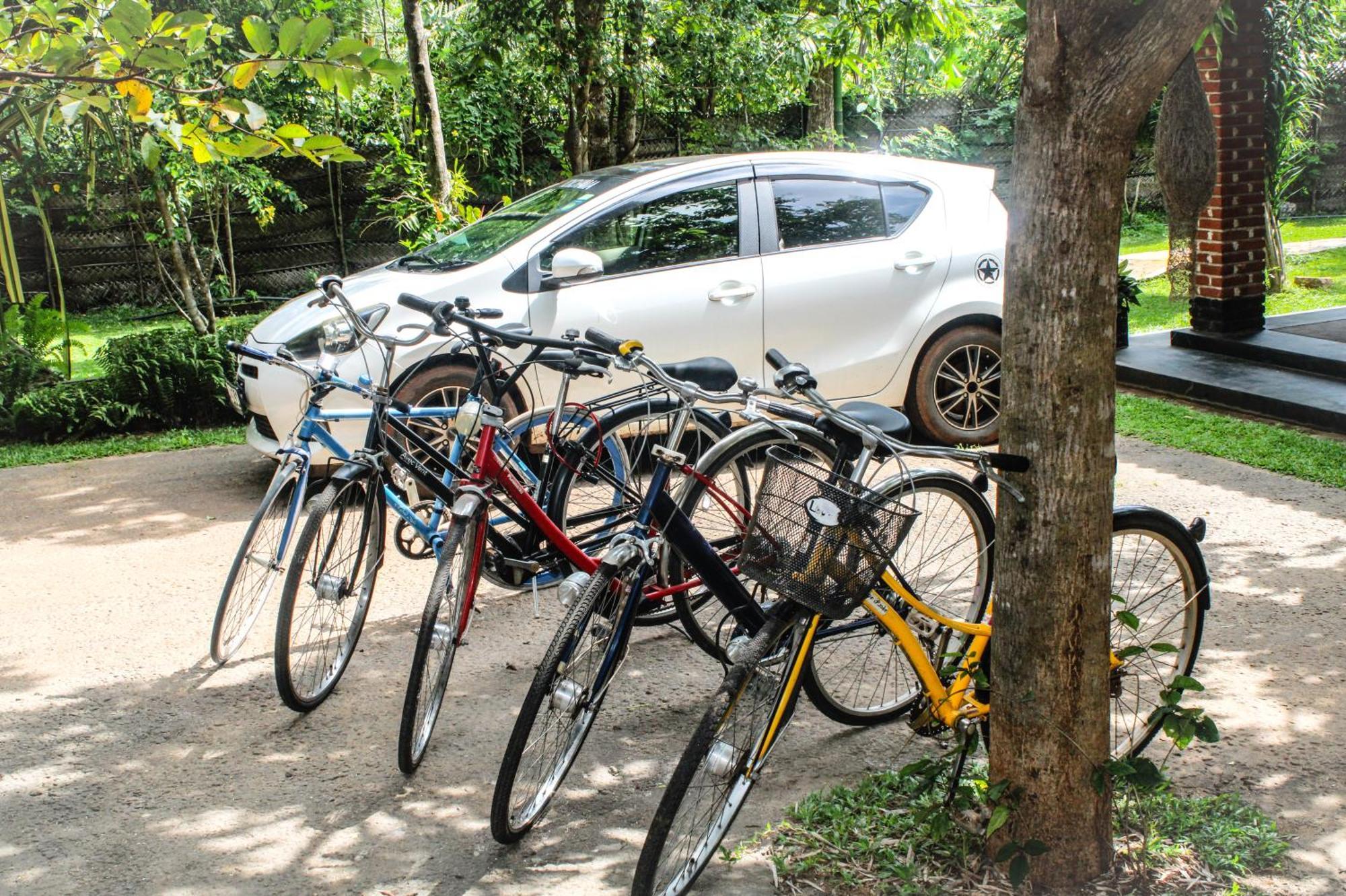 Green Cottage Anuradhapura Δωμάτιο φωτογραφία