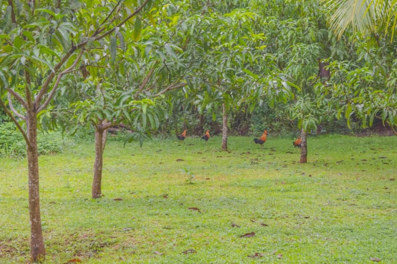 Green Cottage Anuradhapura Εξωτερικό φωτογραφία