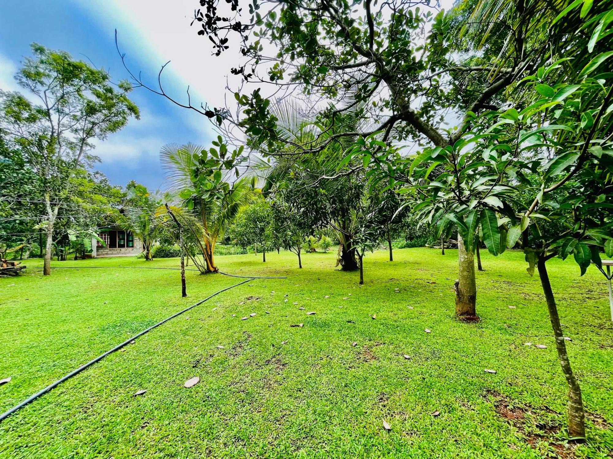 Green Cottage Anuradhapura Εξωτερικό φωτογραφία